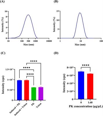 Production and purification of outer membrane vesicles encapsulating green fluorescent protein from Escherichia coli: a step towards scalable OMV technologies